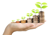 Financial growth illustration